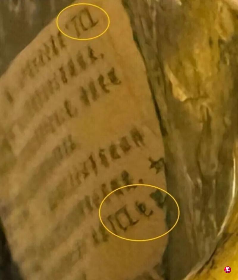 世界杯比分